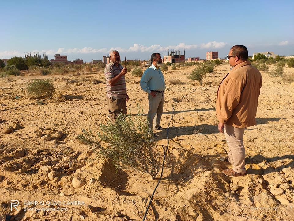 خلال  تفقد مركز التنمية المستدامة لموارد مطروح للمناطق الصحراوية 