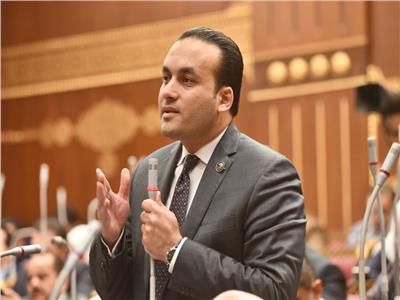 النائب عمرو فهمي: القمة المصرية البحرينية فضحت جرائم الاحتلال وأكدت دعم القضية الفلسطينية  