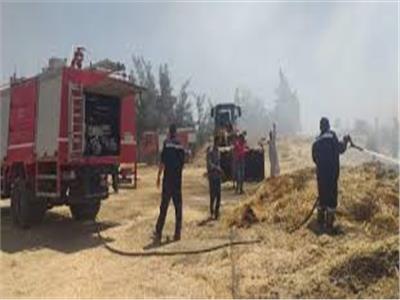 السيطرة على حريق بإحدى مزارع القمح في الإسماعيلية