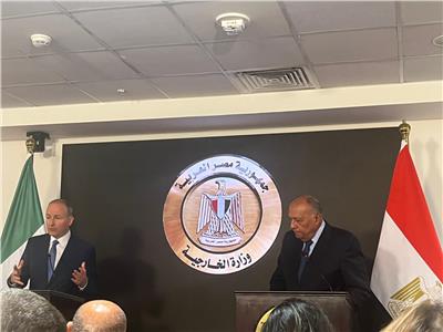 وزير خارجية أيرلندا: نشكر مصر على مساعدتنا بإجلاء مواطينينا من غزة