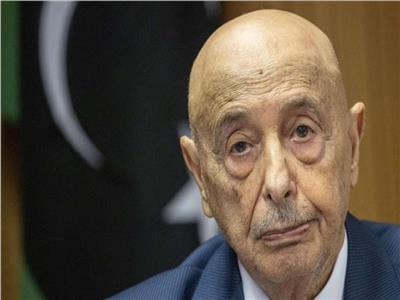 رئيس البرلمان الليبي: جاهزون لإجراء الانتخابات الرئاسية والبرلمانية بالبلاد