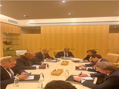 وزير الخارجية يلتقي نظيره الفرنسي لبحث مستجدات الوضع بقطاع غزة  