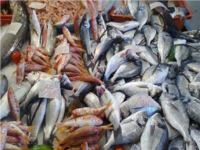 أسعار الأسماك اليوم الأربعاء 1 مايو بسوق العبور
