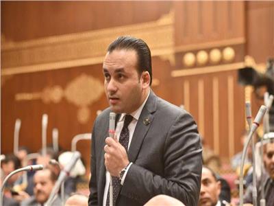 النائب عمرو فهمي: الدولة المصرية حريصة على دعم العمالة غير المنتظمة