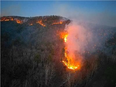 10 ولايات أمريكية معرضة لحرائق غابات في عام 2024