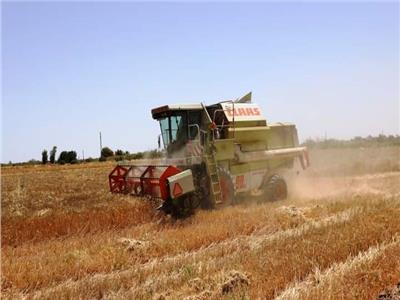 محافظ أسوان: توريد 102 ألف طن من القمح حتى الآن خلال موسم الحصاد الحالي