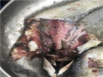 ضبط نصف طن أسماك مملحة فاسدة قبل تداولها في الأسواق بالإسماعيلية