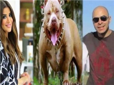 قرار قضائي جديد بشأن زوج المذيعة أميرة شنب في واقعة الكلب  