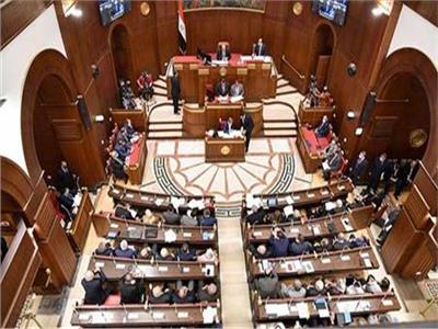 برلماني: دعم مصر لدعوى جنوب أفريقيا استكمالاً لجهود الدفاع عن القضية الفلسطينية‎