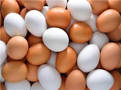 أسعار البيض اليوم السبت 25 مايو