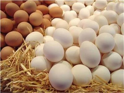 أسعار البيض اليوم 4 يونيو 