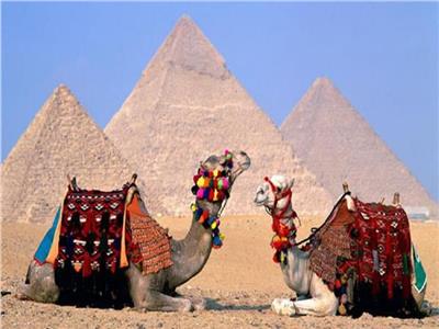 10 سنوات إنجازات| تطوير منطقة الأهرامات يعيد للتراث المصري بريقه العالمي