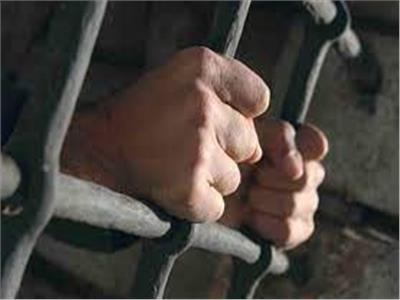 رفض استئناف 5 متهمين في حبسهم بقضية سرقة مواشي