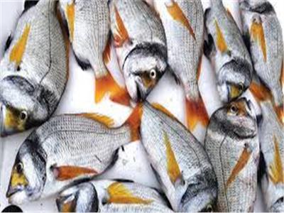 أسعار الأسماك اليوم 11 يونيو بسوق العبور..«الأسواني» بـ70 جنيها