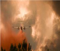 الداخلية الفرنسية: المحققون يشتبهون بأن حريق الغابات في جيروند مفتعل