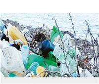 البيئة: الأكياس البلاستيكية تهدد النظم البيئي بالمحميات الطبيعية