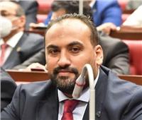 برلماني: تصريحات الرئيس السيسي والعاهل البحريني كاشفة لانتهاكات الاحتلال الإسرائيلي