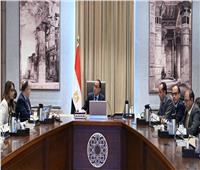 مدبولي يستعرض مع وزير المالية مقترح وثيقة السياسة الضريبية لمصر 2024 – 2030 