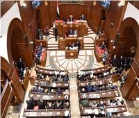 برلماني: لا سبيل لاستقرار الشرق الأوسط إلا بتطبيق السلام العادل والشامل‎