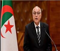 الخارجية الجزائرية: القارة الإفريقية تمر بمنعطف حاسم في ظل حالة الاستقطاب الدولي