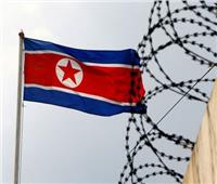 كوريا الشمالية: محادثات قمة سول حول نزع السلاح النووي «استفزاز سياسي»