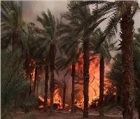 حريق هائل يخلف خسائر كبيرة بمؤسسة «اتصالات الجزائر» جنوب شرق البلاد