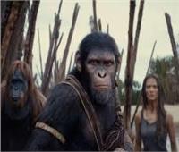 308 ملايين دولار إيرادات فيلم Kingdom of the Planet of the Apes 