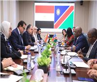 عبدالغفار يستقبل وزير صحة ناميبيا لبحث سبل التعاون وتبادل الخبرات بين البلدين 