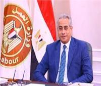 إنفوجراف لكلمة مصر نيابة عن «المجموعة العربية» في مؤتمر العمل الدولي بجنيف