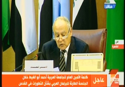 أمين عام جامعة الدول العربية أحمد أبو الغيط
