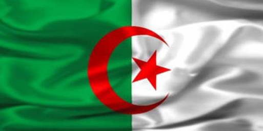 وفد المراقبين الجزائري يصل القاهرة 