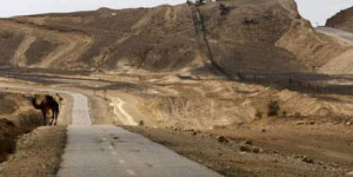 قطع طريق المغارة بوسط سيناء 