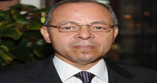 بيبرس: الدستور الجديد يجب أن يعبر عن آمال المصريين
