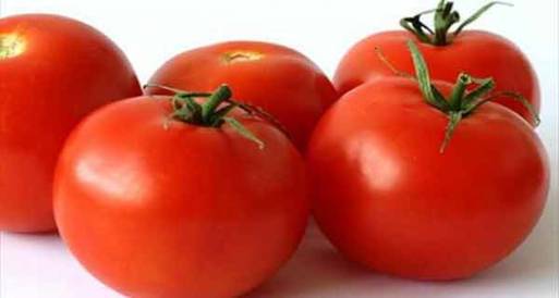 "الصبغة الحمراء" في الطماطم مفيدة لخلايا تخزين الدهون