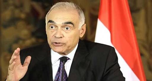 قنصل مصر بلندن: المصريون بالخارج كنز يجب الاستفادة منه