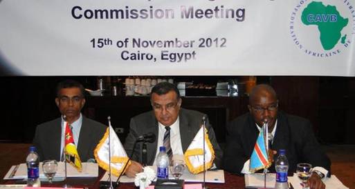 مصر تنظم البطولة الأفريقية لناشئات الطائرة 