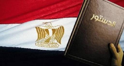 الحركة الوطنية المصرية وحزبها يدعوان المصريين للتصويت برفض الدستور