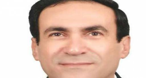 سفير مصر ببيروت: 65% نسبة رفض مشروع الدستور بين المصريين