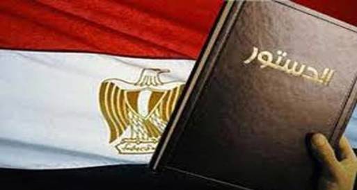 المصريون في فنلندا يرفضون مشروع الدستور