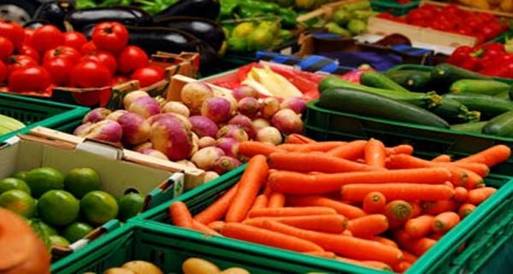 53 مليون دولار قيمة صادرات الإسماعيلية من الخضر والفاكهة 
