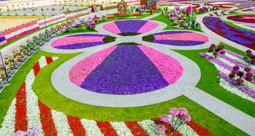 حديقة "دبي ميراكل جاردن" تدخل موسوعة جينيس بـ45 مليون زهرة