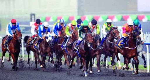 "ميدان" تنظم أول منافسة دولية لسباقات الخيول في الصين