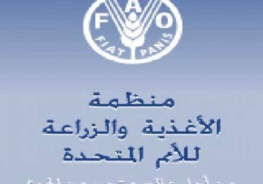 منظمة الأمم المتحدة للأغذية والزراعة "FAO"
