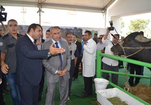 وزير الزراعة خلال افتتاحه للجناح الخاص لمؤسسة مصر الخير