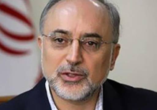 علي أكبر صالحي رئيس هيئة الطاقة الذرية الإيراني
