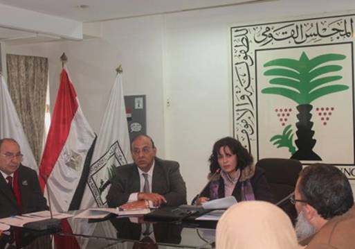 الدكتورة عزة العشماوي الأمين العام للمجلس القومي للطفولة والأمومة خلال الاجتماع 