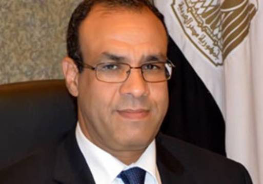 السفير بدر عبد العاطى
