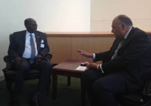 شكري يلتقي وزير خارجية جنوب السودان