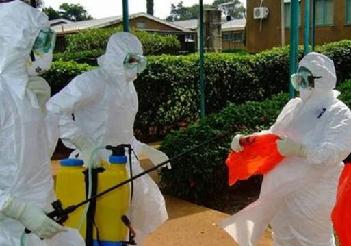 مليون دولار مساعدات تركية إلى الاتحاد الأفريقي لمواجهة إيبولا