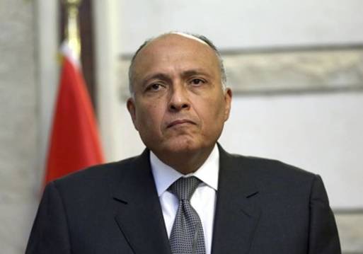 سفير مصر بكينشاسا يسلم وزير خارجية الكنوغو رسالة من سامح شكري